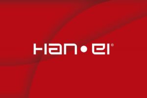 Hanei Consultoria