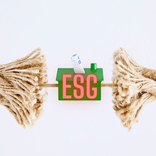 O efeito gerado pela polarização na aplicação das práticas ESG